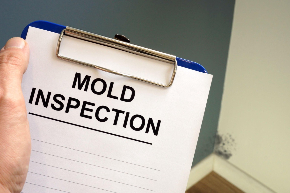 Should You Test for Black Mold Yourself or Hire a Professional Mold Inspector?