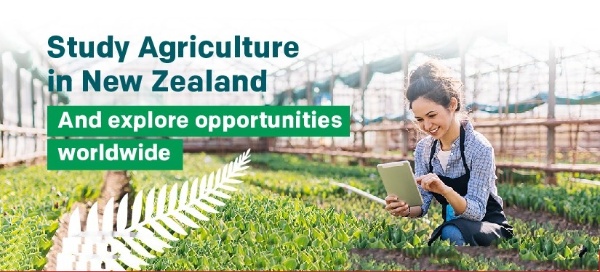 Master in Agriculture in New Zealand: A Quick Guide