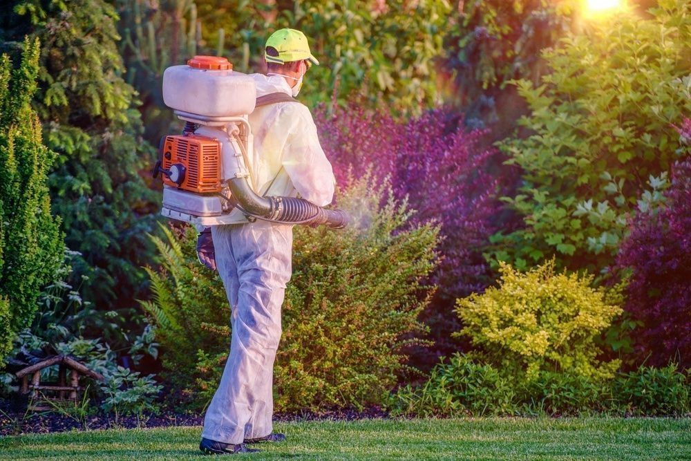 How to Remove Pests and Diseases from Your Home.