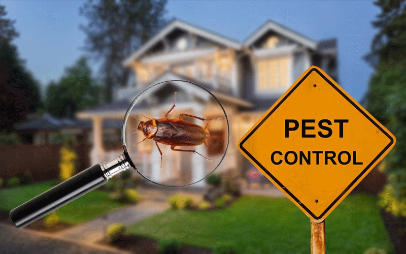 How To Choose The Best Professional Pest Control Services in Toronto