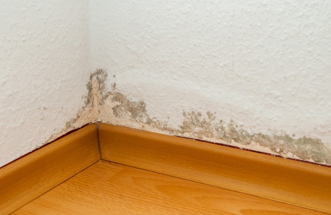 Best Methods Of Damp Proofing A Building Depending On Construction