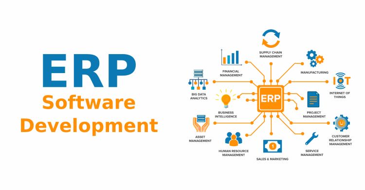 ERP & Web Portal Software Development : Initials And Advantages
