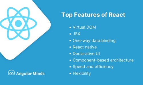 Top ReactJS Features Every Developer Should Know About