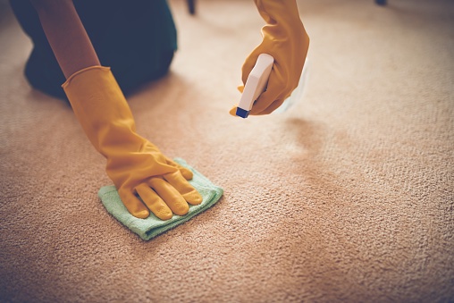 Cleaning Your carpets: A guide to the best ways to do it