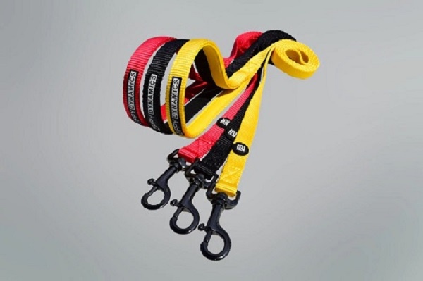 Find the Dog Harness Leash Online