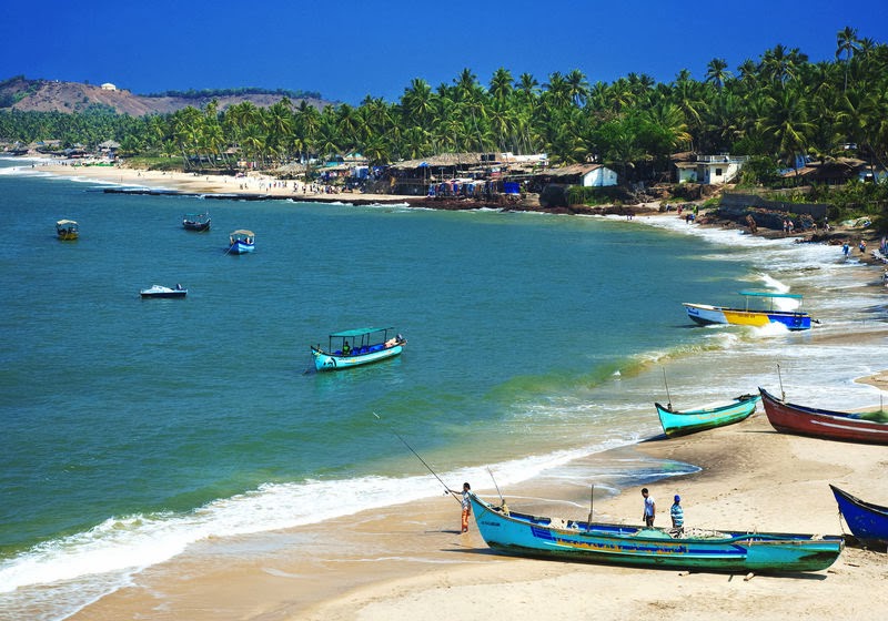 Things to Do in Goa in December