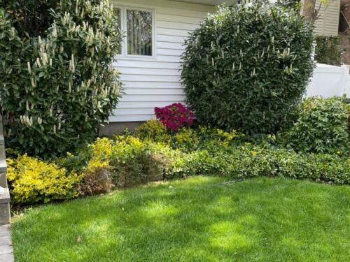 Give Eye Soothing Look To Your Building With Commercial Landscaping
