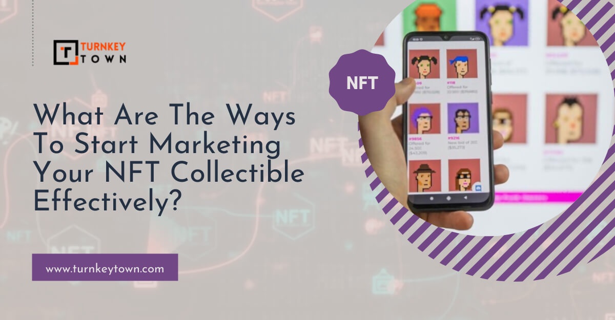 Maximizing Your NFT Investment: The Role of an NFT Collection Marketing Company