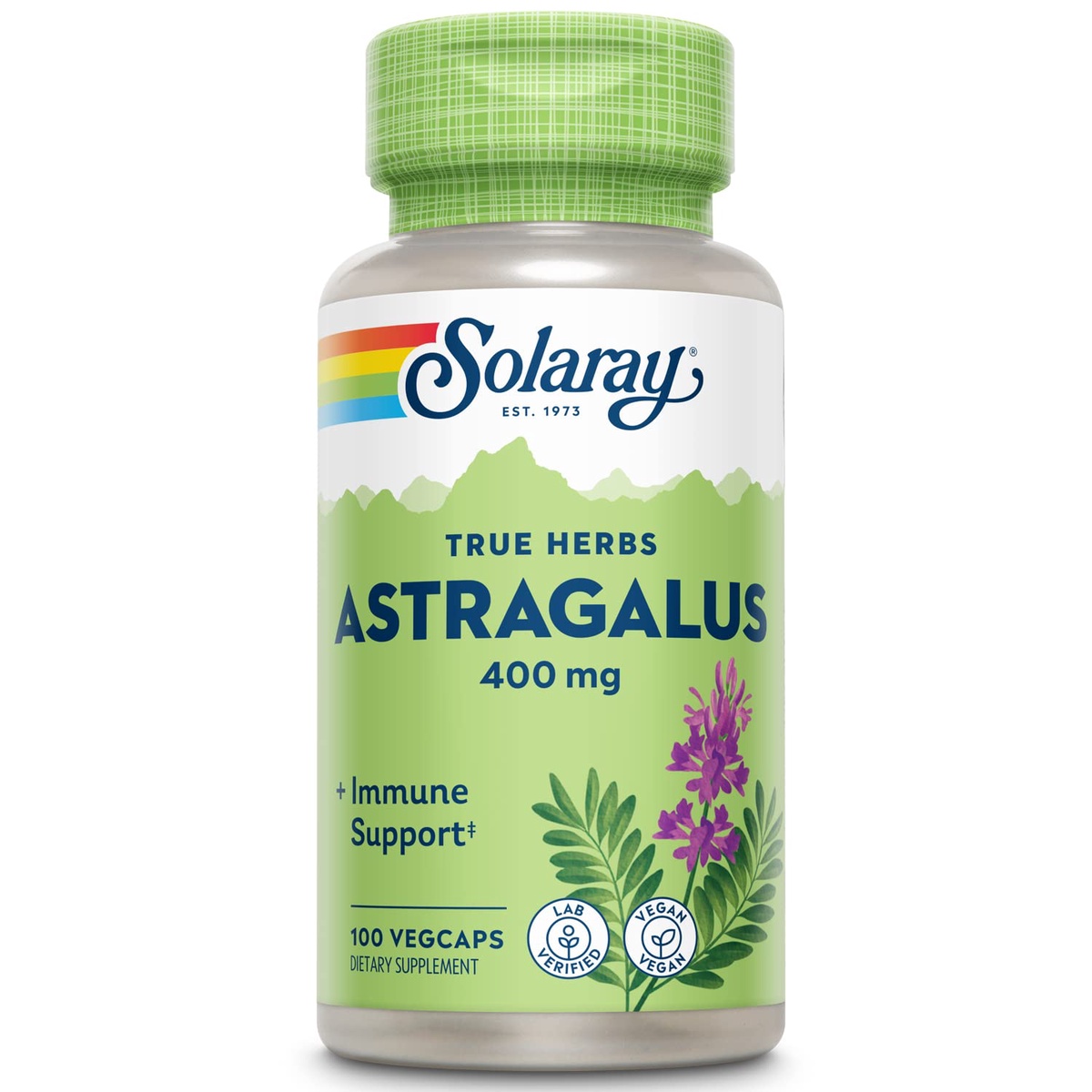 Astragalus: The Powerhouse Supplement for Stress Management and Improved Immunity