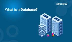 Database Providers in UAE