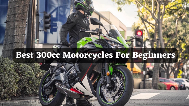 5 Best 300cc Motorcycles For Beginners