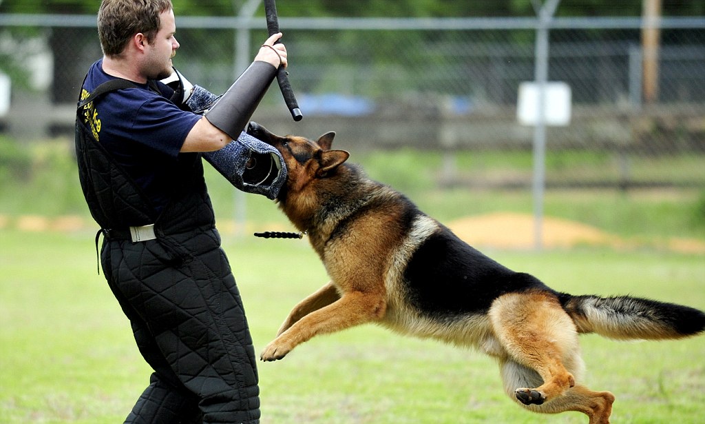 On Defense K9 - The Best in Dog Training