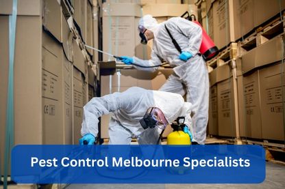 5 Professional Pest Control Melbourne Tips To Keep Your Home Protected Against Pests!
