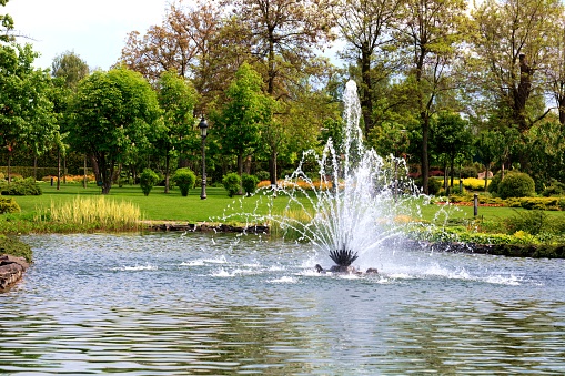 Considerations When Choosing a Fountain for Your Pond