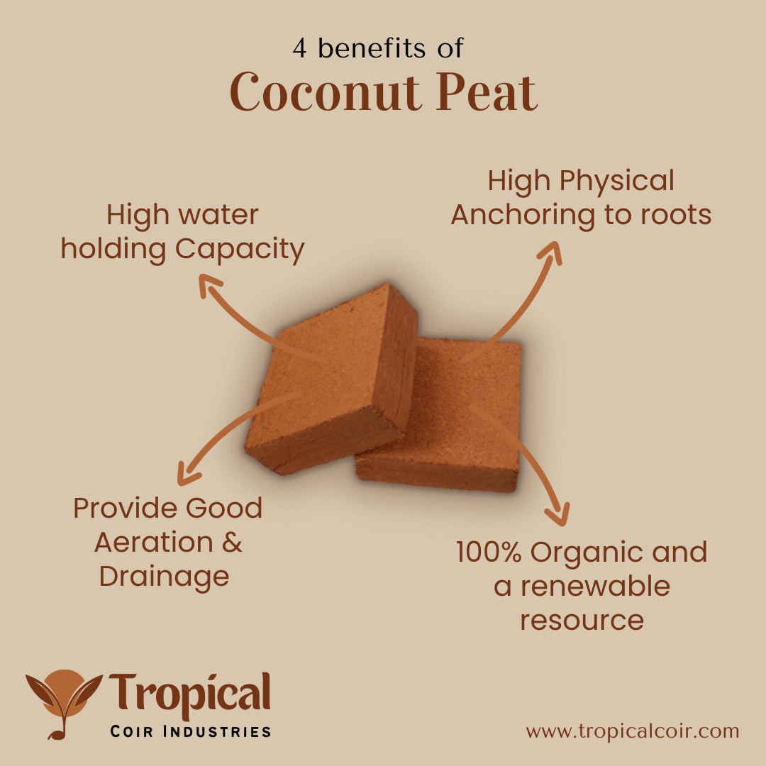 Benefits of Coco Peat in Agriculture