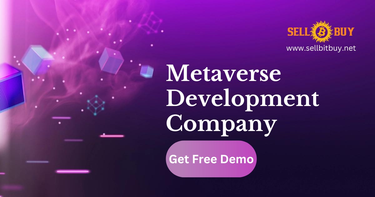 Metaverse Development Company - Start Your Metaverse Business with our  Virtual Metaverse Development Services