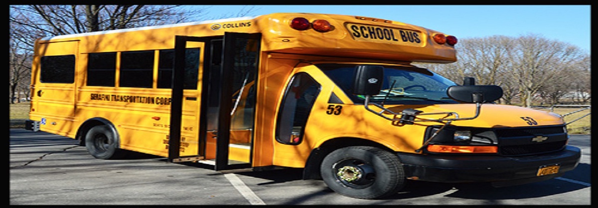 Top Reasons Why School Bus Transportation Is Important