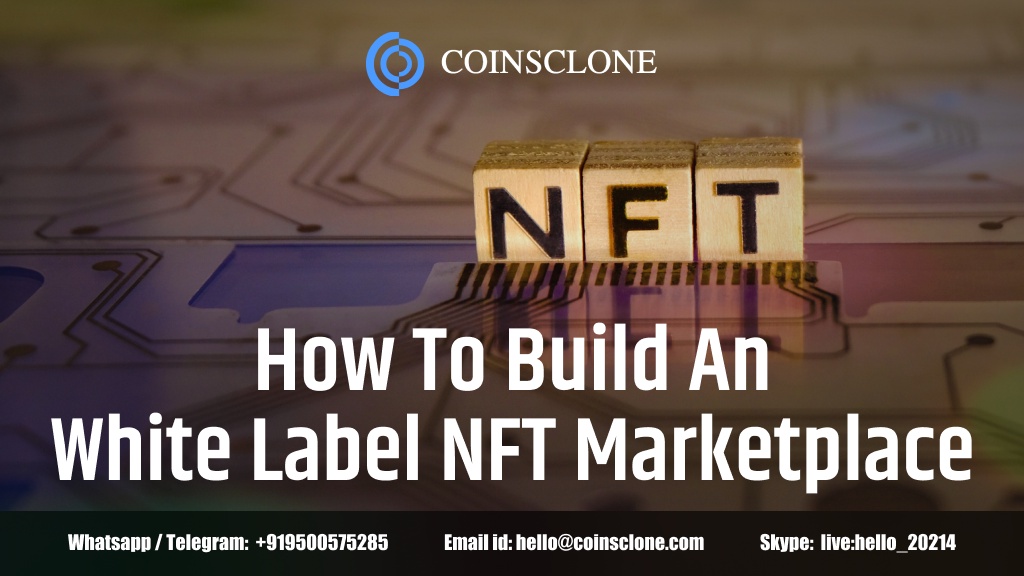 Why white label NFT marketplace the best choice for Business startups??
