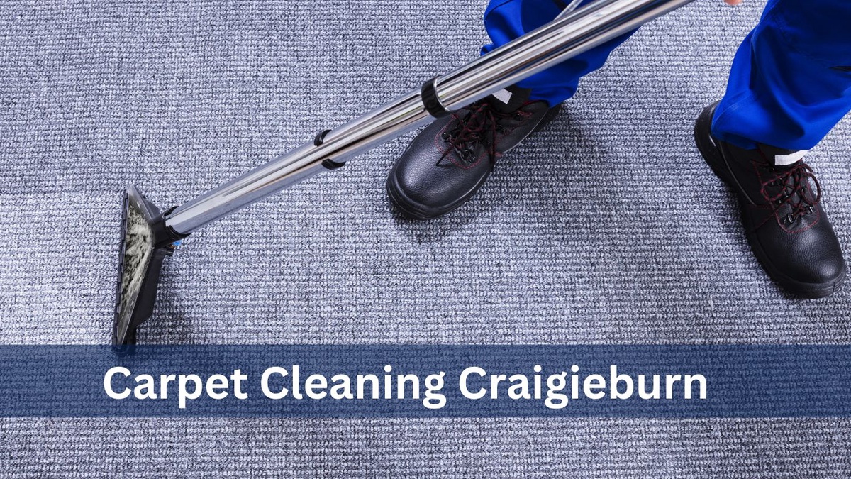 5 Reasons To Clean Your carpets Yourself Instead Of Hiring A Professional