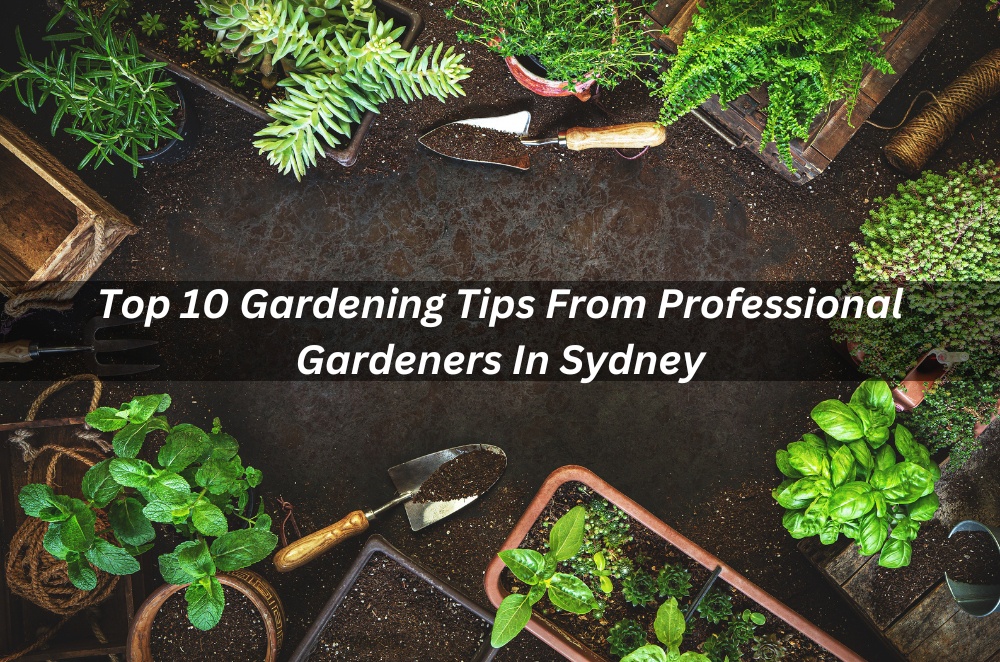 Top 10 Gardening Tips From Professional Gardeners In Sydney