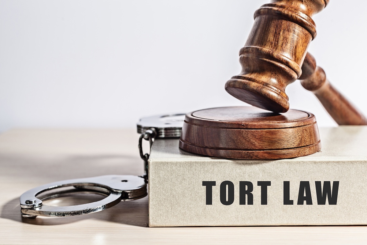 Guidelines About Tort Laws