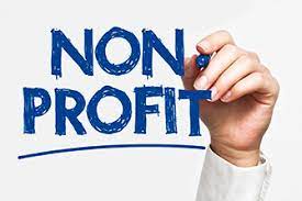What is a non-profit organization?