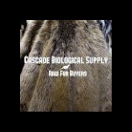 Select from the appropriate raw wild fur pelts Available
