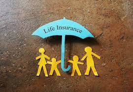 SPROUTT LIFE INSURANCE COMPANY: EVERYTHING YOU NEED TO KNOW!