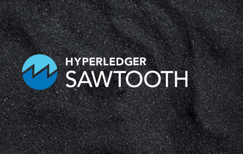 Hyperledger Sawtooth deployment for finance use cases