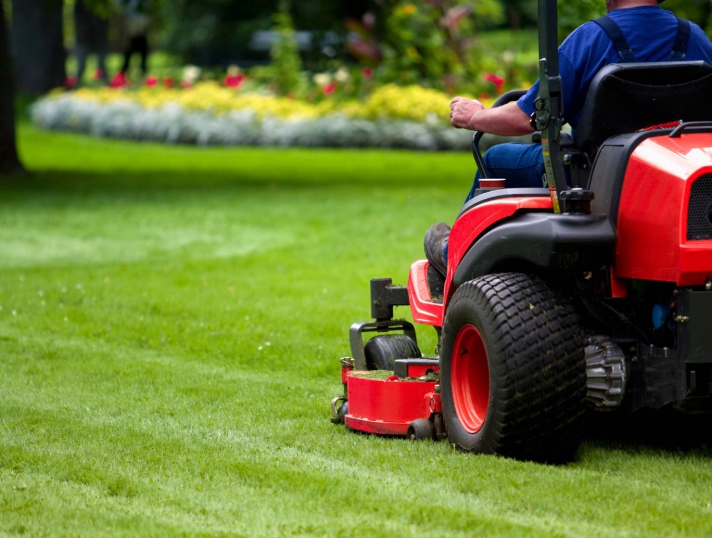Choosing the Best Lawn Care Service Provider in London, ON: What to Look For and Ask About