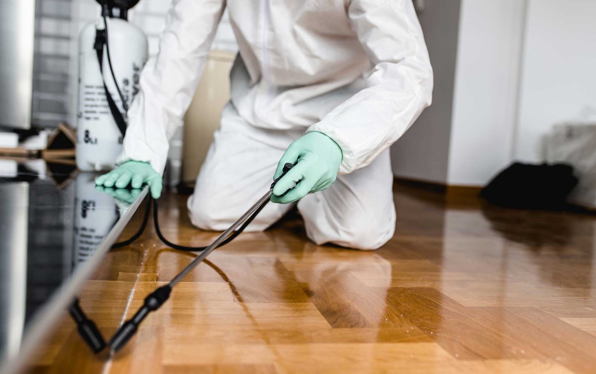 Say Goodbye to Pests: How Pest Control Noble Park Can Help Keep Your Home Safe