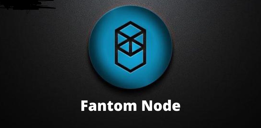 How to set up a Fantom node: a step-by-step guide for beginners.