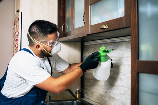 How to Control Pests and keep your home clean and free of pests.