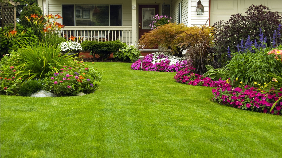 Creating Outdoor Living Spaces: How Landscaping Services Can Transform Your Backyard