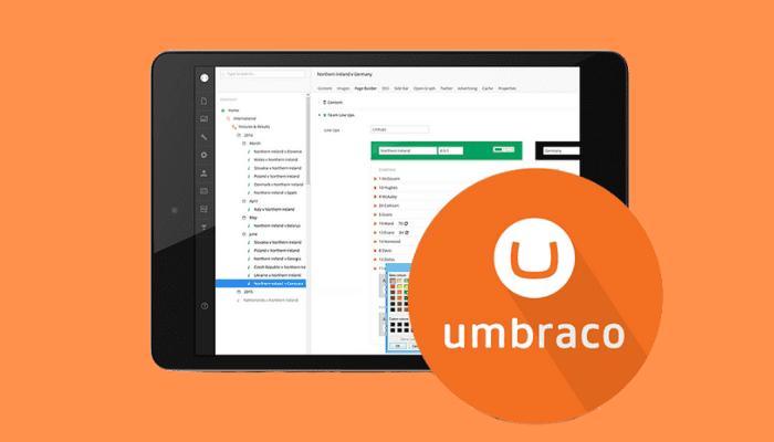 How to Choose the Right Umbraco Agency for Your Next Project