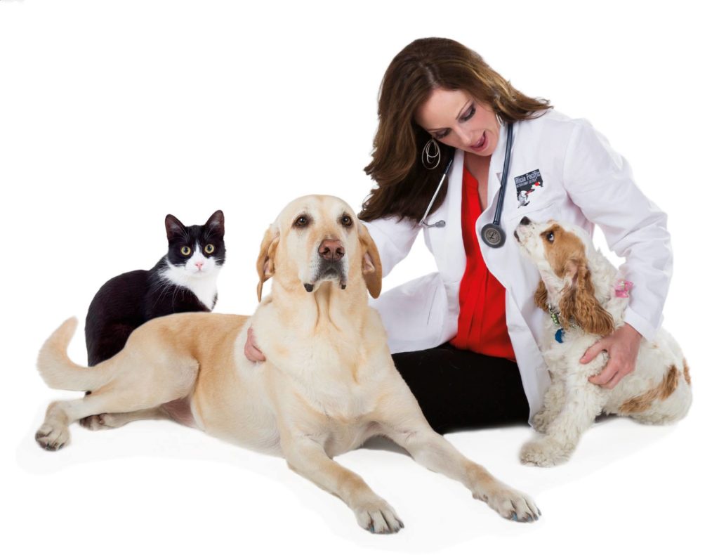 What Insurance Should a Veterinarian Have?