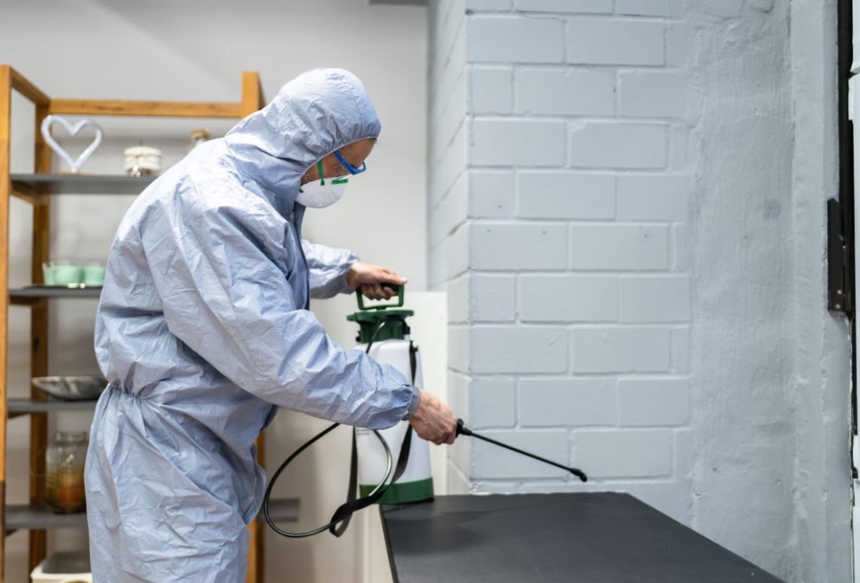 Keep Your Home and Business Safe from Pests with Our Expert Pest Control Services