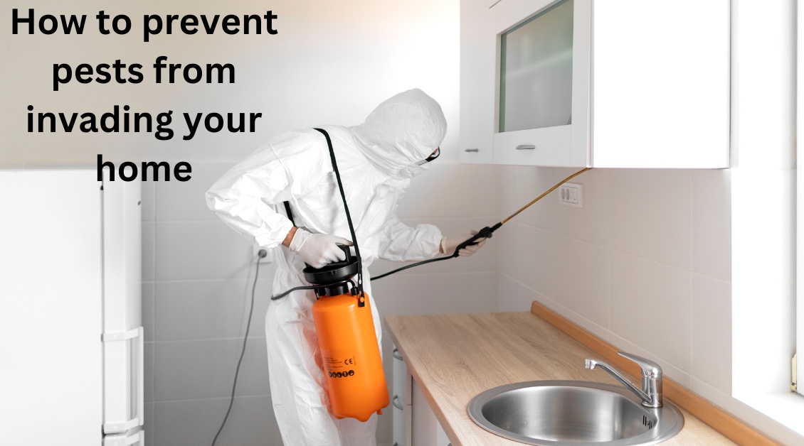 How to prevent pests from invading your home