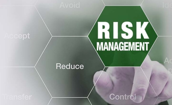 Maximizing Success with a Comprehensive Risk Management System