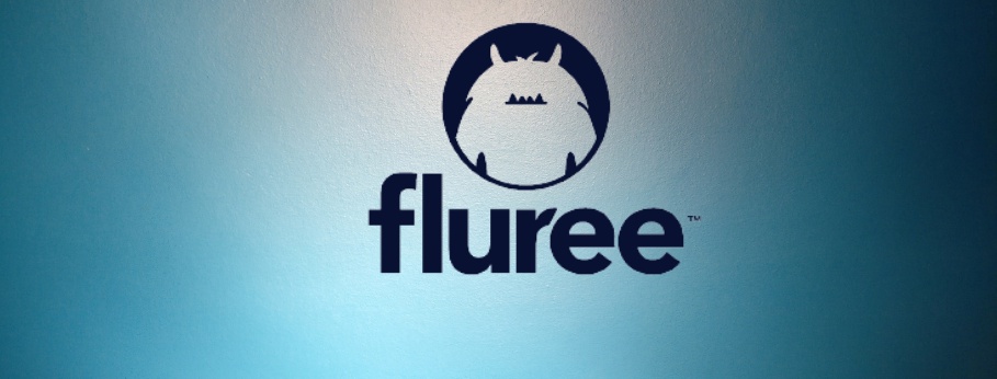 Fluree node deployment service for building decentralized applications