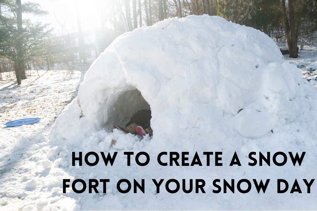 How to Create a Snow Fort on Your Snow Day