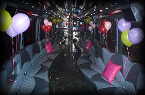 The Best Party Bus Hire Service in Sydney