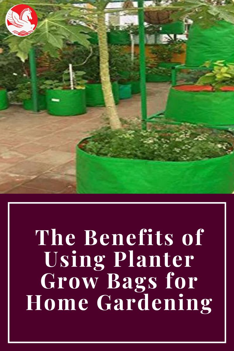 The Benefits of Using Planter Grow Bags for Your Plants