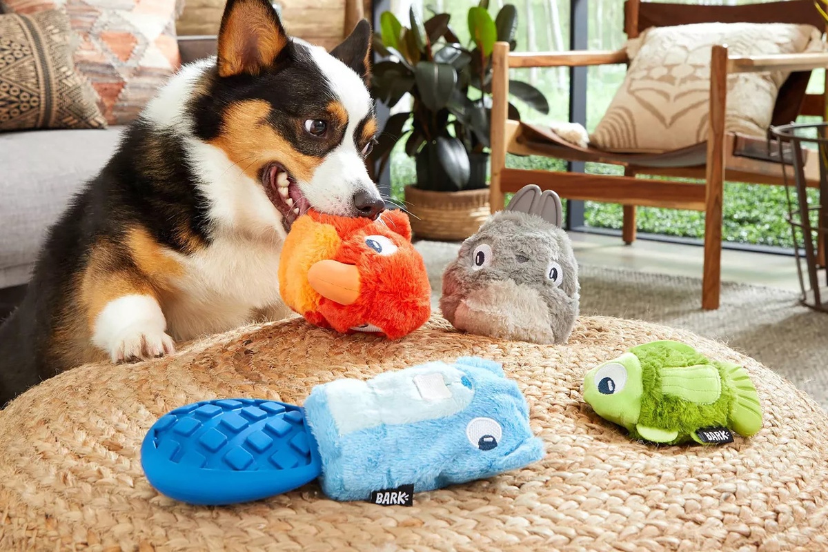 Different Types of Puppies Toys to Choose From