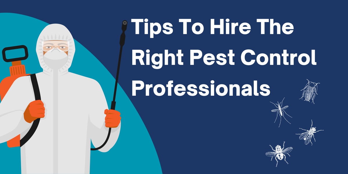 15 Tips To Hire The Right Pest Control Professionals