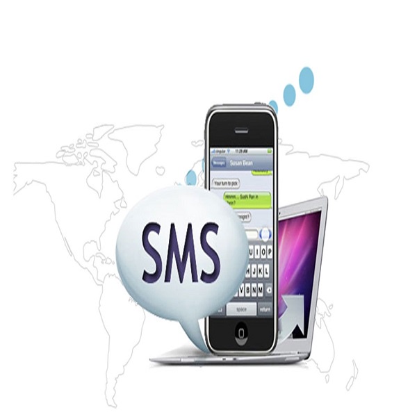 Accelerating Your Marketing Efforts with Fast SMS Services