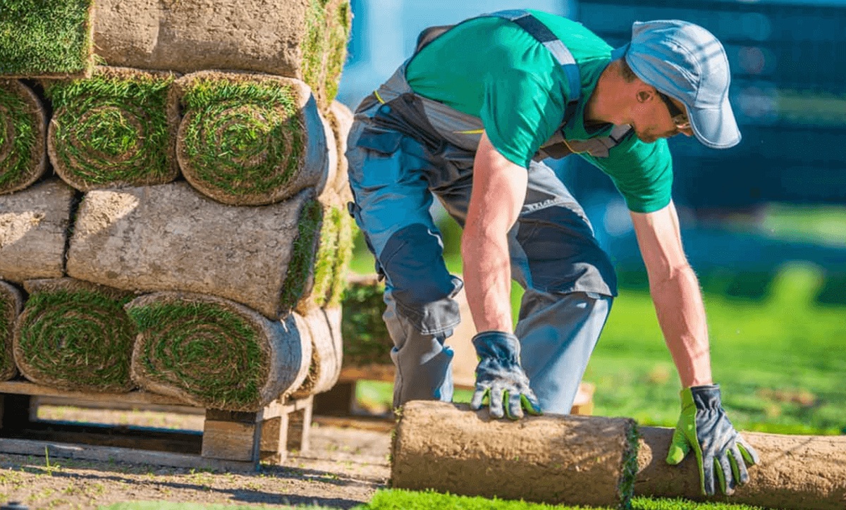 Things to Consider Before Choosing a Landscaping Contractor