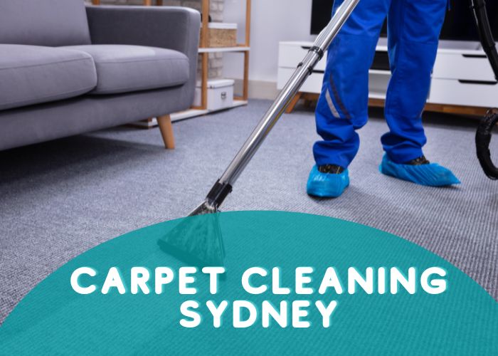 Why Professional Carpet Cleaning is Essential for a Healthy Home?