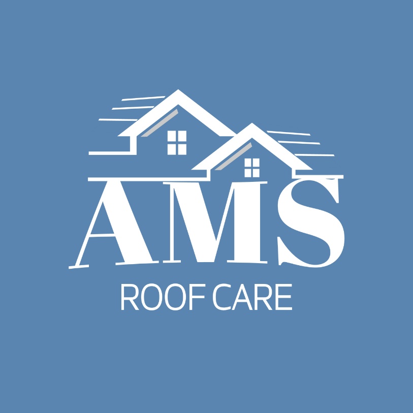 Revitalise Your Home's Exterior with Our Roof Pressure Cleaning Services