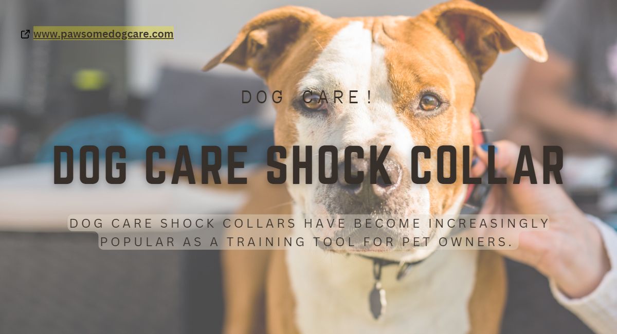 Dog Care Collar Instructions